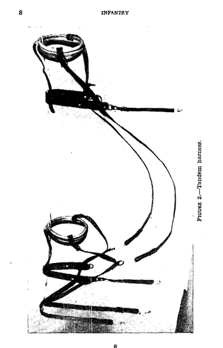 1941 K-9 Messenger Courier SLED DOG TEAM TRANSPORTATION Canine Manual on Data CD - Picture 2 of 11