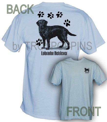 labrador retriever gear