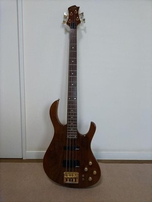 ARIA PROII Rhino E-Bass mit Softcase gebraucht guter Zustand aus Japan