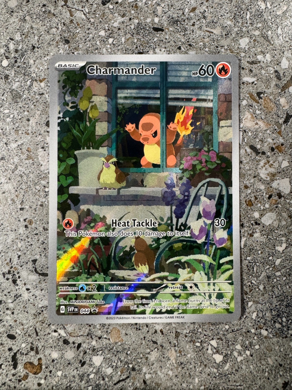 Pokemon TCG Cards Charmander SVP044 Black Star Promo Illustration Rare NM
