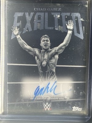 NM-Mint Chad Gable Black & White Signatures Auto 2025 Topps Exalted WWE #BWS-CGE