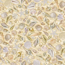 108" Wide Back Fabric  Nautical Seashell Toss Sand  Timeless Treasures YARD