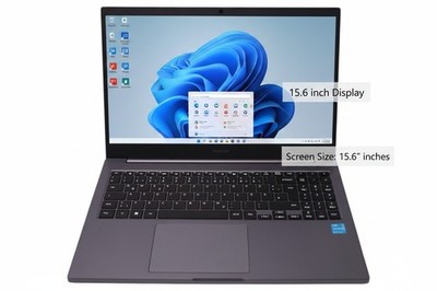 Samsung Notebook Plus2 15,6 Zoll Notebook Intel Celeron 4GB RAM 128GB SSD Win11P