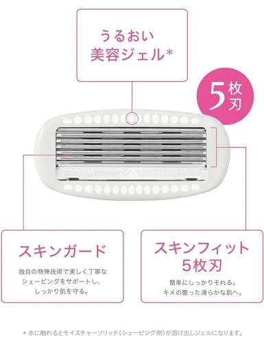 Soporte de afeitadora Schick Hydro Silk para mujer + 1 cartucho fm Japón Foto 4 de 4