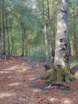 WOODLAND GLADE by P. Monsted forest trees Tile Mural Backsplash Marble Ceramic