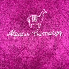 ALPACA CAMARGO Scarf Gray Fringed Unisex Men  s Womens 72 X 9 Soft Warm NWOT