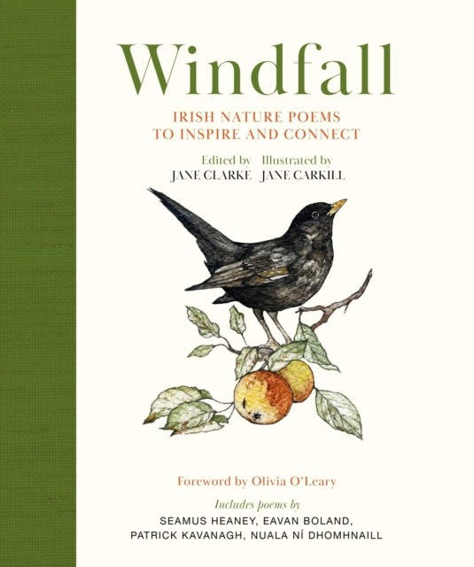 Windfall by Jane Clarke (Hardback Book)