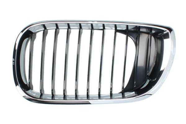 BLIC 6502-07-0061991AP Radiator Grille for BMW