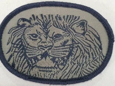 ROK Army Special Force SWC(Special Warfare Command )/CURRENT ORIGINAL(HOOK BACK)