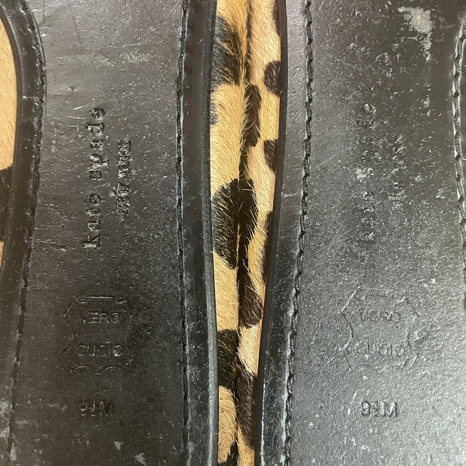 Picture 10 of 11
