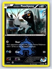 Team Aqua's Poochyena Common Double Crisis 16/34 NM on eBay