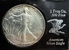 1987 American Eagle 1 oz Silver (Brilliant Uncirculated) !!!!