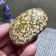 Natural marine Jasper Ocean Stone raw stone rock polished Mineral Specimen A42