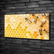 Leinwandbild Kunst-Druck 100x50 Bilder Tiere Bienen