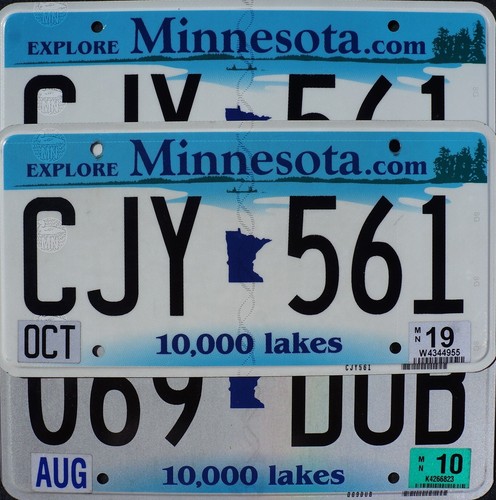 One Random MINNESOTA LICENSE PLATE - 10000 Lakes Flat License Plate Tags