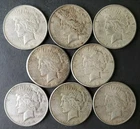 Lot of Eight $1 Peace Silver Dollars