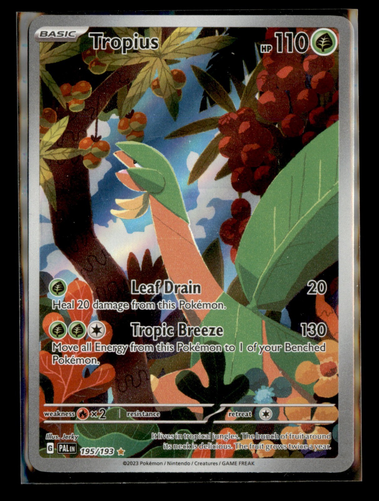 Tropius Holo Illustration Rare SV02: Paldea Evolved 195/193 NM