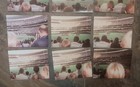 1983 Cincinnati Reds Polorids — photo 5