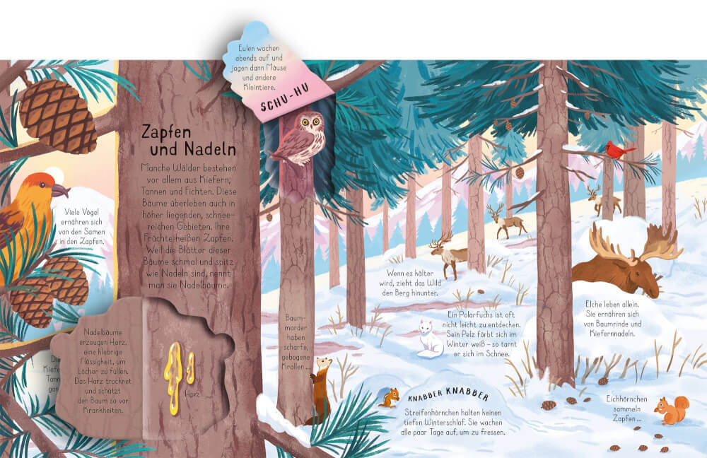 Thumbnail - Aufklappen Und Entdecken: Der Wald