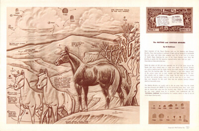 Leather Craft Doodle Pattern      MATTING AND CONTOUR BEVELERS