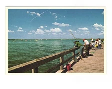Hauling in the big one It's all there at the New Jersey Shore VTG Postcard UNP