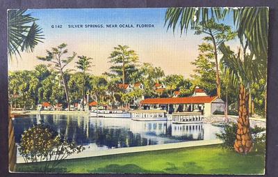 #ad Vintage Postcard Silver Springs Near Ocala Florida United States Tourism $3.98