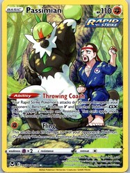 Passimian TG08/TG30 Silver Tempest Trainer Gallery Ultra Rare Holo