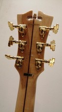 D'ANGELICO Deluxe Bedford BK BPG TR Electric Guitar
