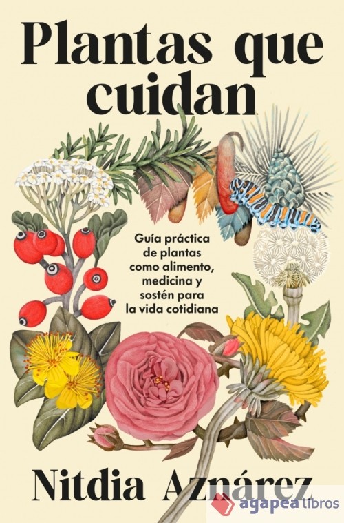 Plantas que cuidan: Guía práctica de plantas medicinales como alimento, medicina