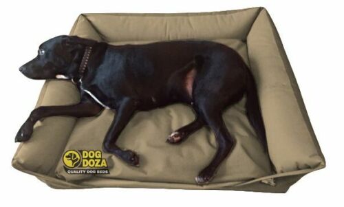 Beige Waterproof Dog Sofa Bed - Medium