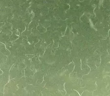 2 OZ LIVE VINEGAR EEL CULTURE Turbatrix Aceti Starter Fry Food Guppy Betta B2G1