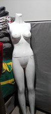 Female Headless Realistic Glossy Plastic Mannequin Detachable Arms, Legs