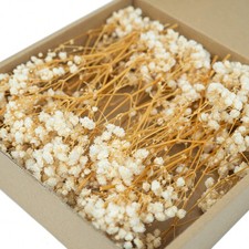 50PCS Mini Gypsophila Dried Flowers Resin Craft Wedding Decor Ivory White-UK