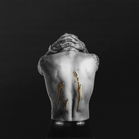 Vinile - Capo Plaza - Ferite (Deluxe Edition) (Gold Edition) (2 Lp) - Plaza Mus