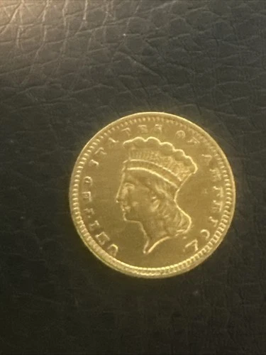 1874 Gold $1 Indian Princess Head One Dollar Coin #2201