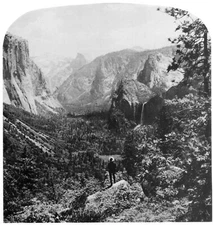 Decor B & W Landscape Poster. Fine Graphic Art Design. Home Wall Art. 2034