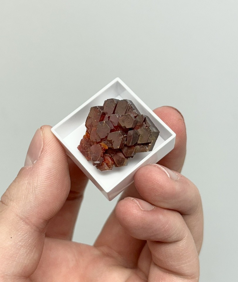 Dark AAA Vanadinite Crystal Cluster in Specimen Box Morocco Perfect