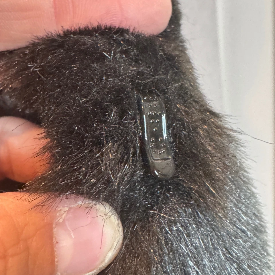 Lujoso Abrigo Negro Chevron Imitación Piel L Midi Esponjoso Forrado Satinado Dennis Basso Foto 4 de 4