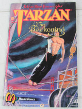 Cover of Tarzan: The Beckoning #2