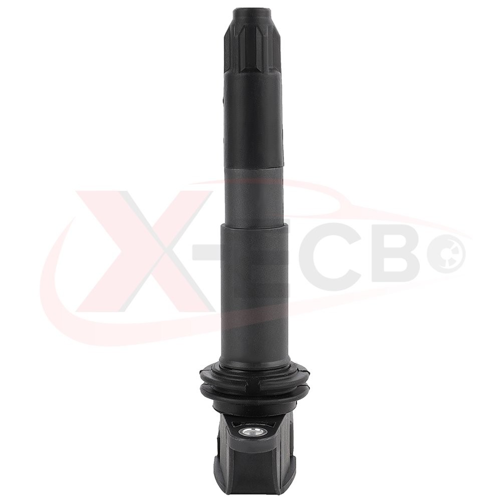 Porsche Carrera GT 2004 Ignition coils Set