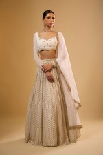 Reception Party Wear Lehenga choli for women
