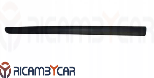 Modanatura Nera Anteriore SX Citroen C3 02-09 - Prezzo Offerta