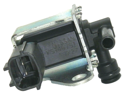 希少　Petla Rev Eclat Venom Plastic Peg (Single) | Source BMX - US