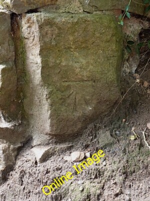 Foto 6x4 OS Benchmark - Wellington, Ercall Lane Haygate ein OS Schnittzeichen auf c2014