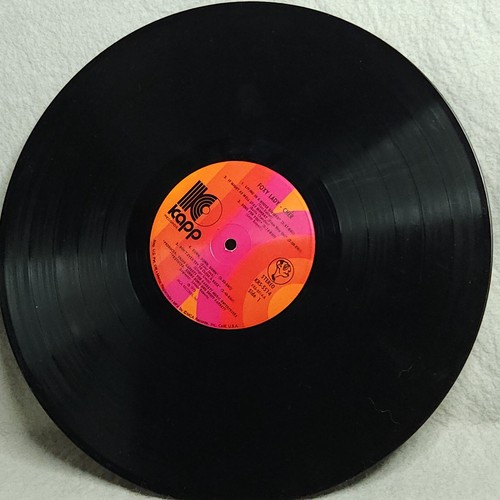 Cher Foxy Lady LP Vinyl 1972 - Imagen 3 de 13