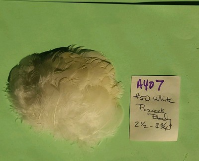 50 white Peacock Body Feathers 2 1/2''-3 3/4'' fly tying crafts cruelty-free A407