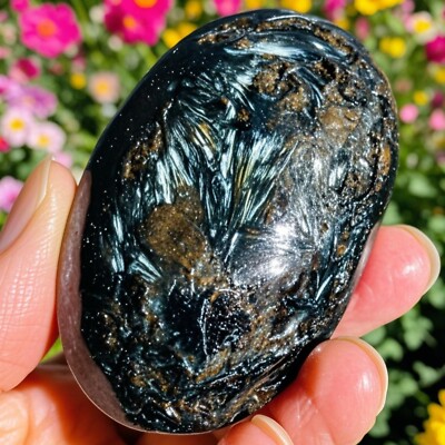 Arfvedsonite Palm Stone Polished Flashy Worry Stone Reiki Crystal Healing Gift