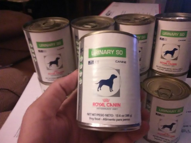 royal canin satiety wet dog food