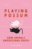 Playing Possum | How Animals Understand Death | Susana Monsó | Englisch | Buch