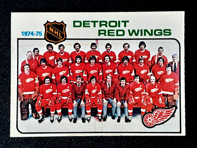 DETROIT RED WINGS TEAM UNMARKED 1975-76 O-PEE-CHEE 75-76 #87 VGEX+        25961